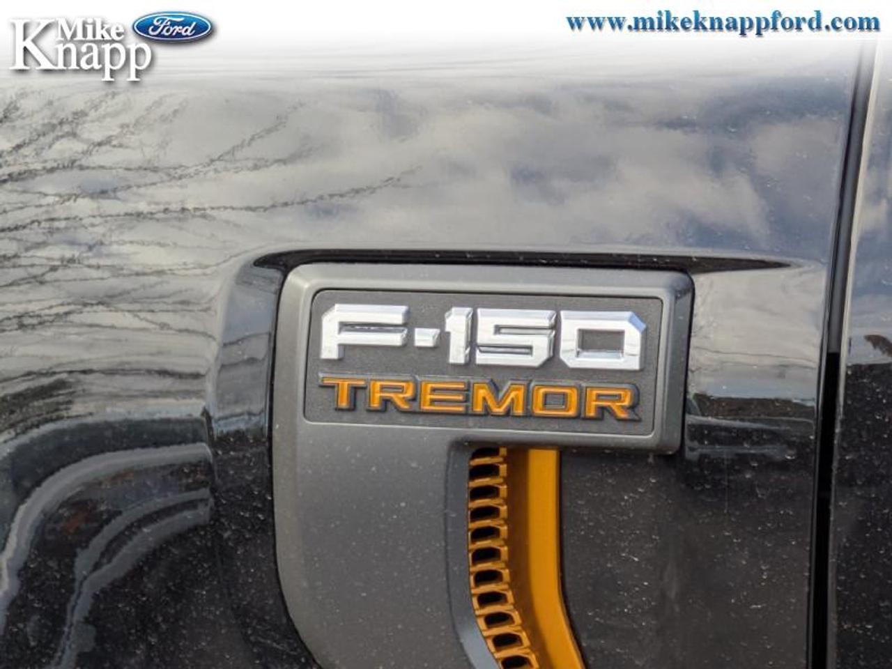 2026 Ford F-150 Tremor Photo