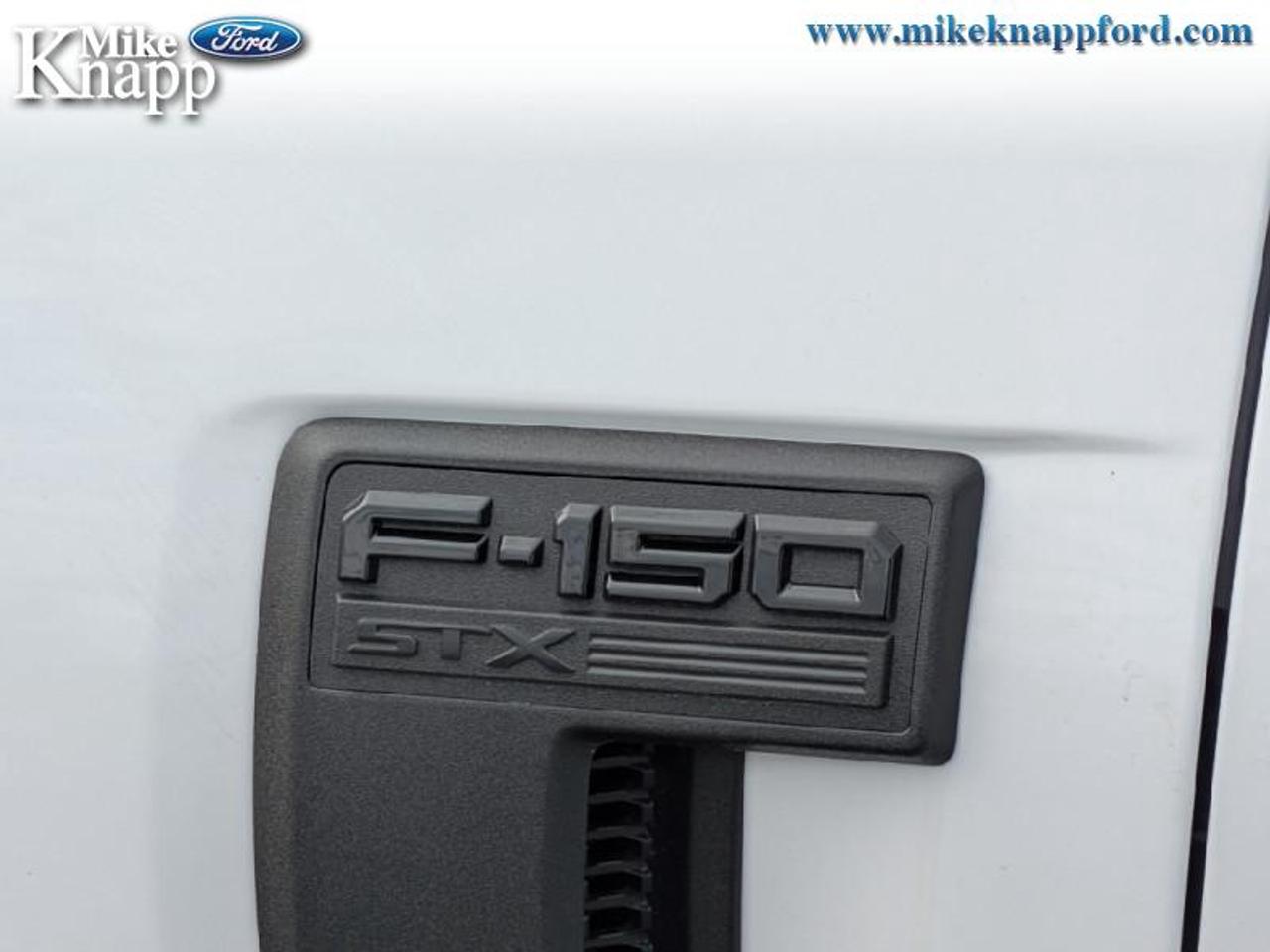 2026 Ford F-150 STX Photo