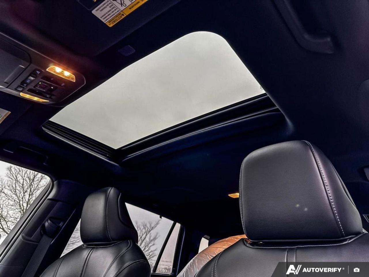 2022 Toyota Highlander XSE Photo