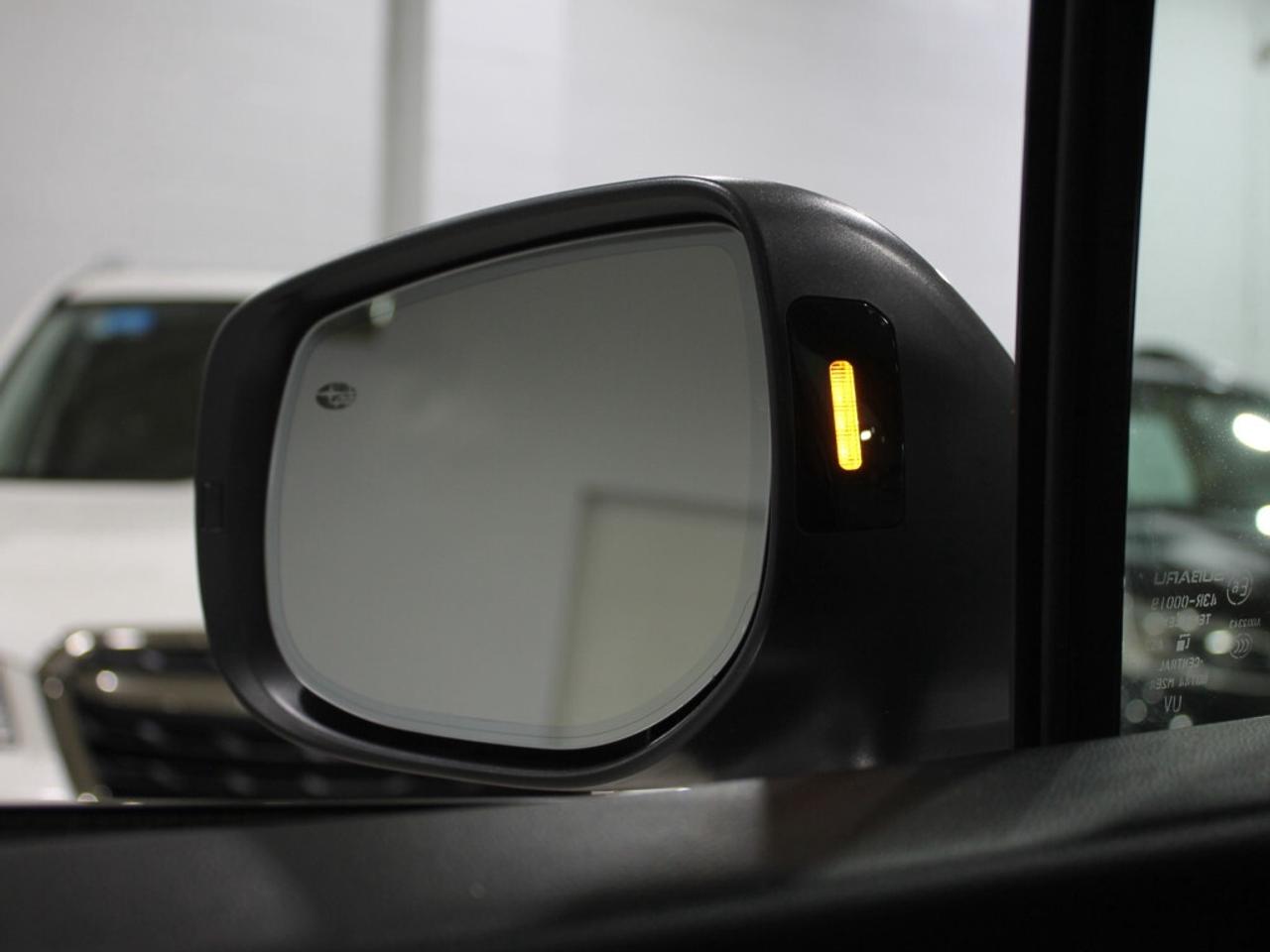 2020 Subaru Forester Limited w/Eyesight Tech NO ACCIDENT ONE OWNER ONTA Photo