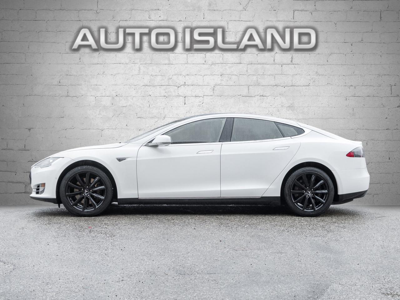 2014 Tesla Model S Performance Photo