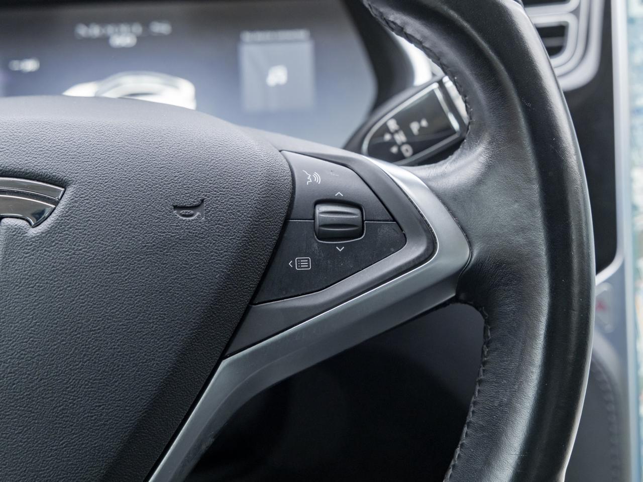 2014 Tesla Model S Performance Photo