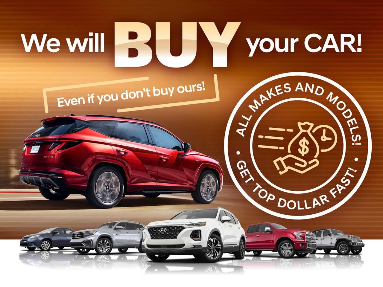 2024 Kia Sportage LX Photo