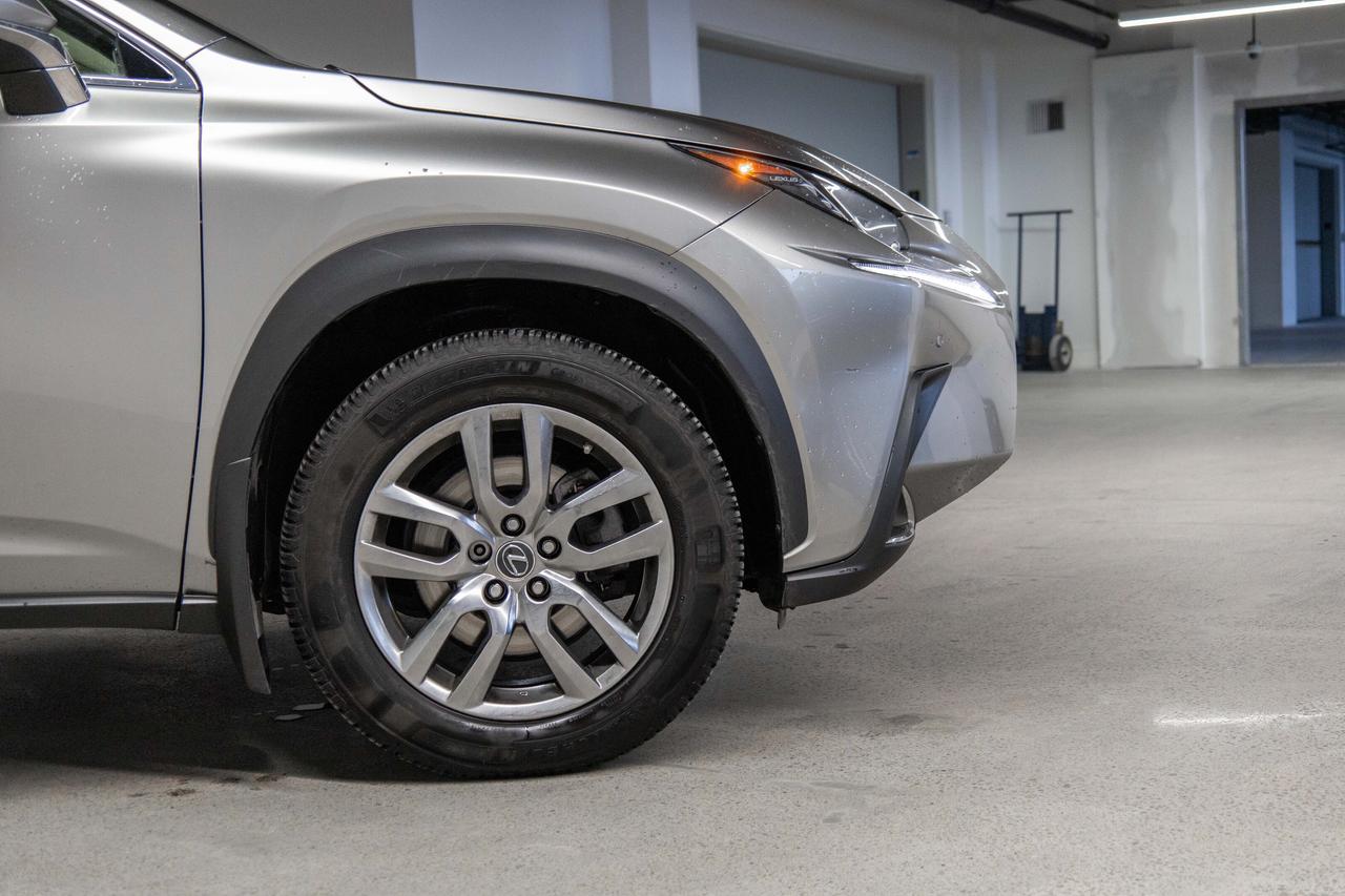 2020 Lexus NX 300 Luxury Pkg Safety Certified Welcome Trades Photo