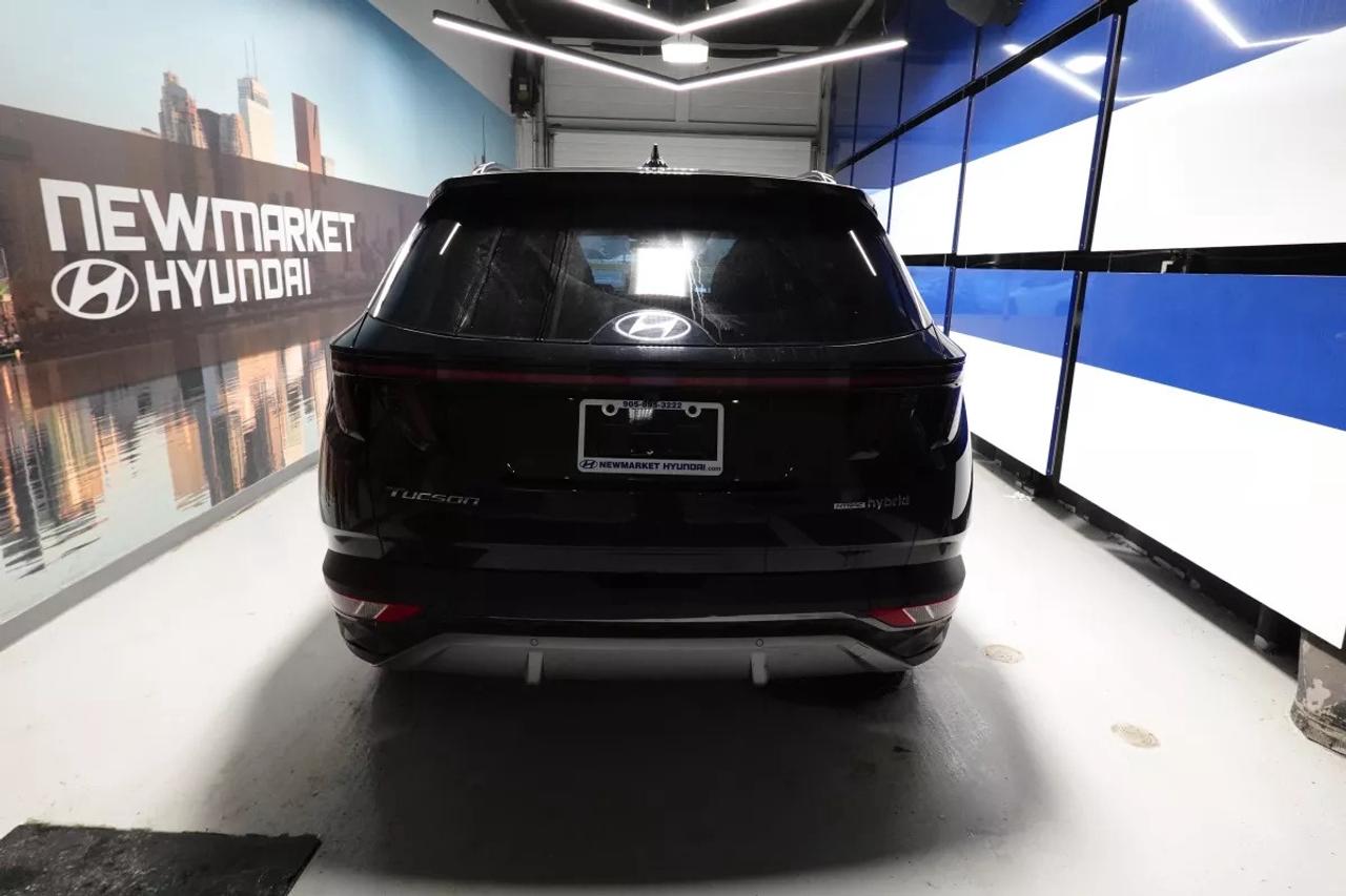 2024 Hyundai Tucson Hybrid LUXURY HYBRID   HEATED SEATS   HEATED WHEEL   APPL Photo2
