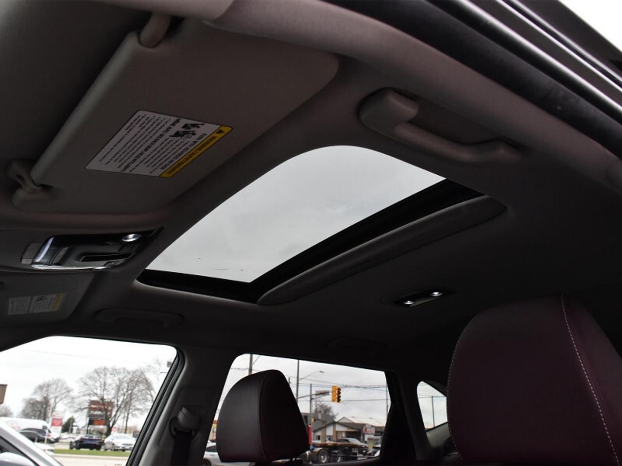 2023 Kia Seltos SX Turbo AWD w/Burgundy Interior   Leather   Roof Photo