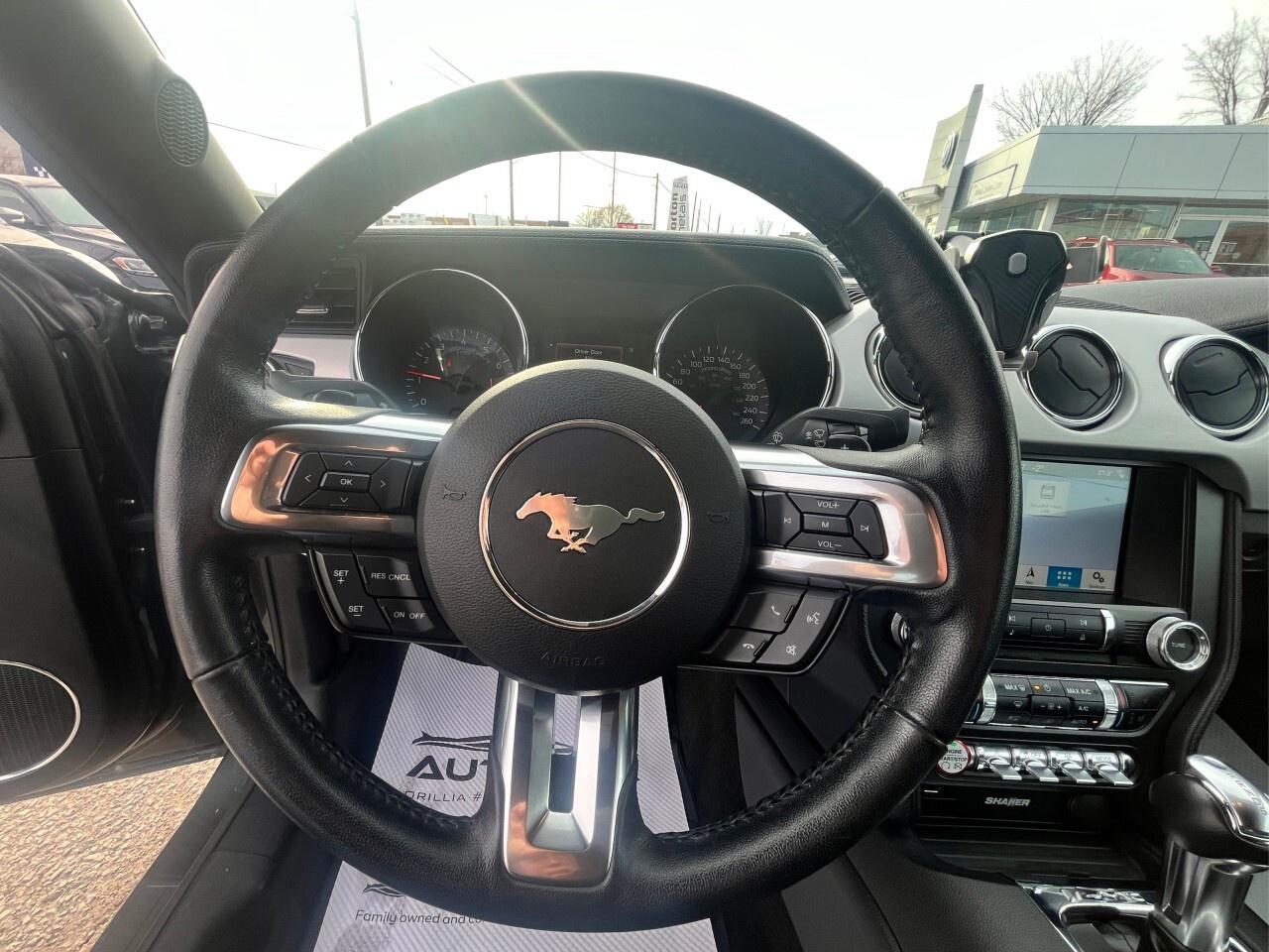 2016 Ford Mustang EcoBoost Premium Photo