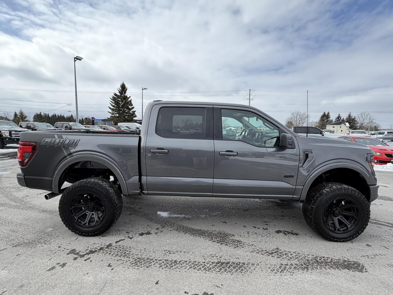 2025 Ford F-150 XLT STEALTH EDITION!! Photo