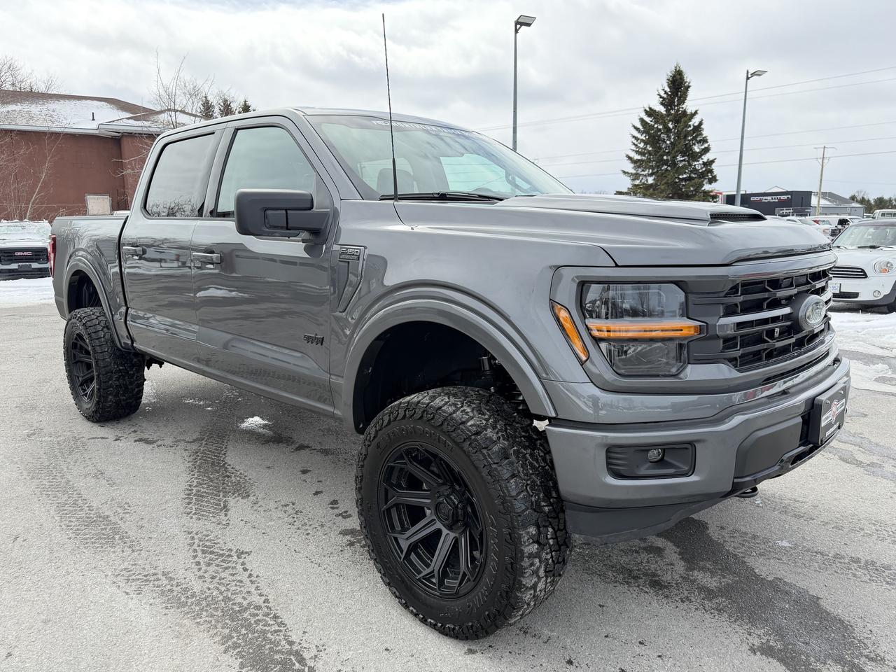 2025 Ford F-150 XLT STEALTH EDITION!! Photo
