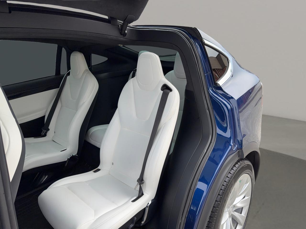 2019 Tesla Model X Long Range AWD FSD 6 Seats Photo