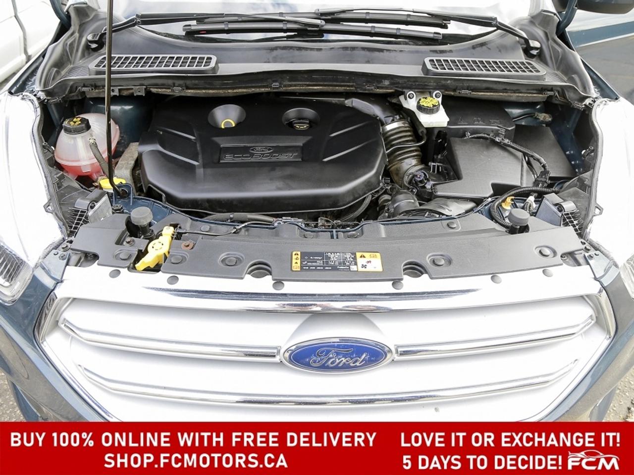 2019 Ford Escape SEL 4WD Photo