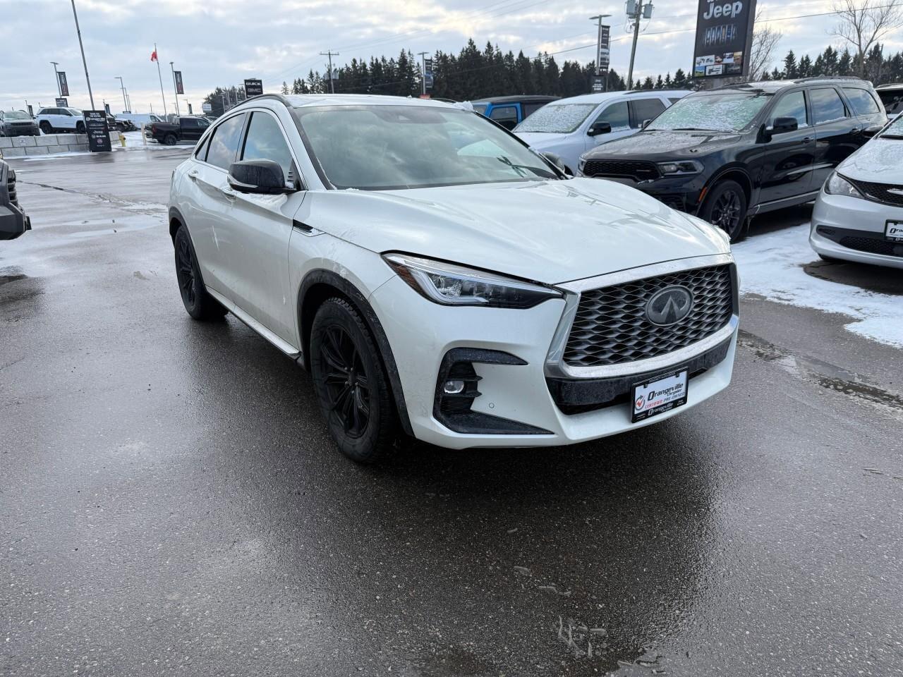 2022 Infiniti QX55  Photo