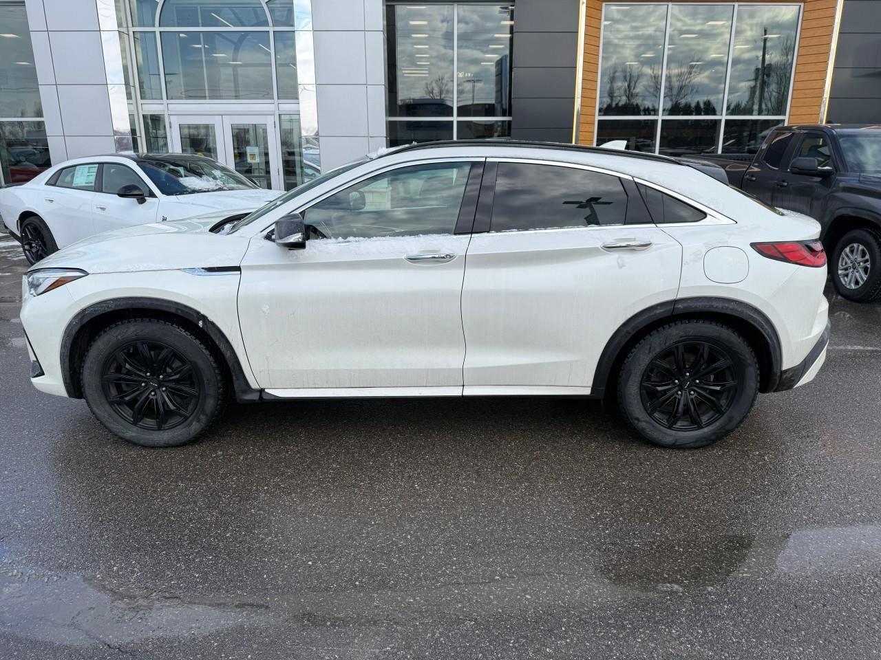 2022 Infiniti QX55  Photo