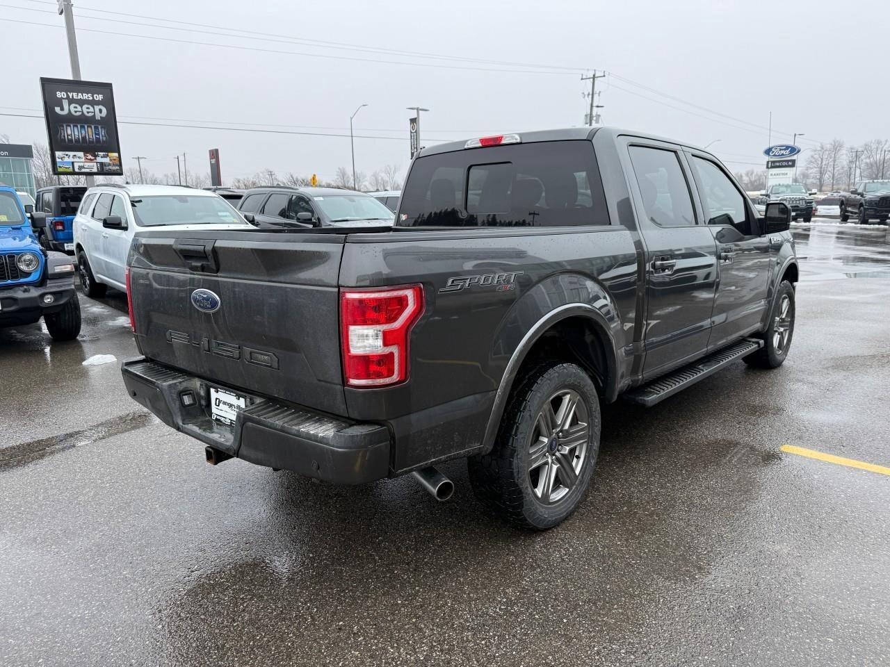 2020 Ford F-150  Photo