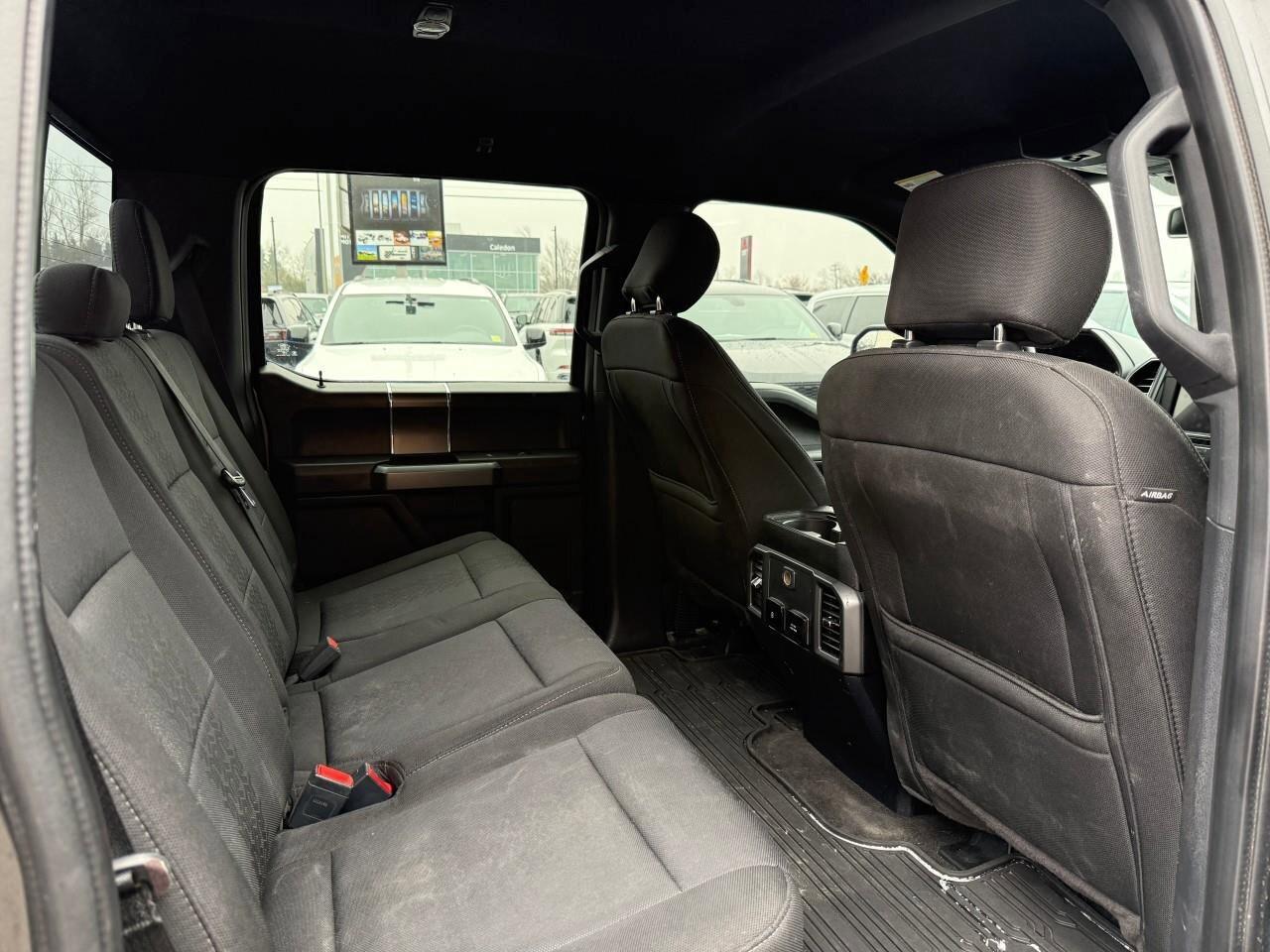 2020 Ford F-150  Photo