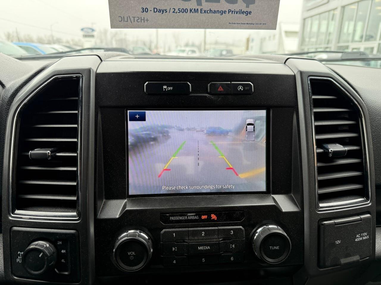 2020 Ford F-150  Photo