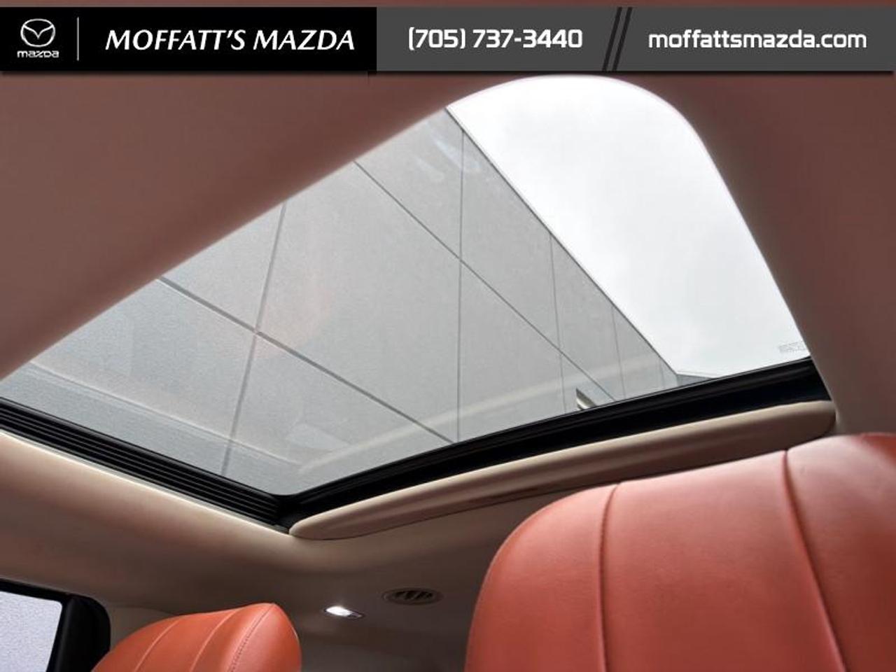 2022 Kia Carnival SX Photo