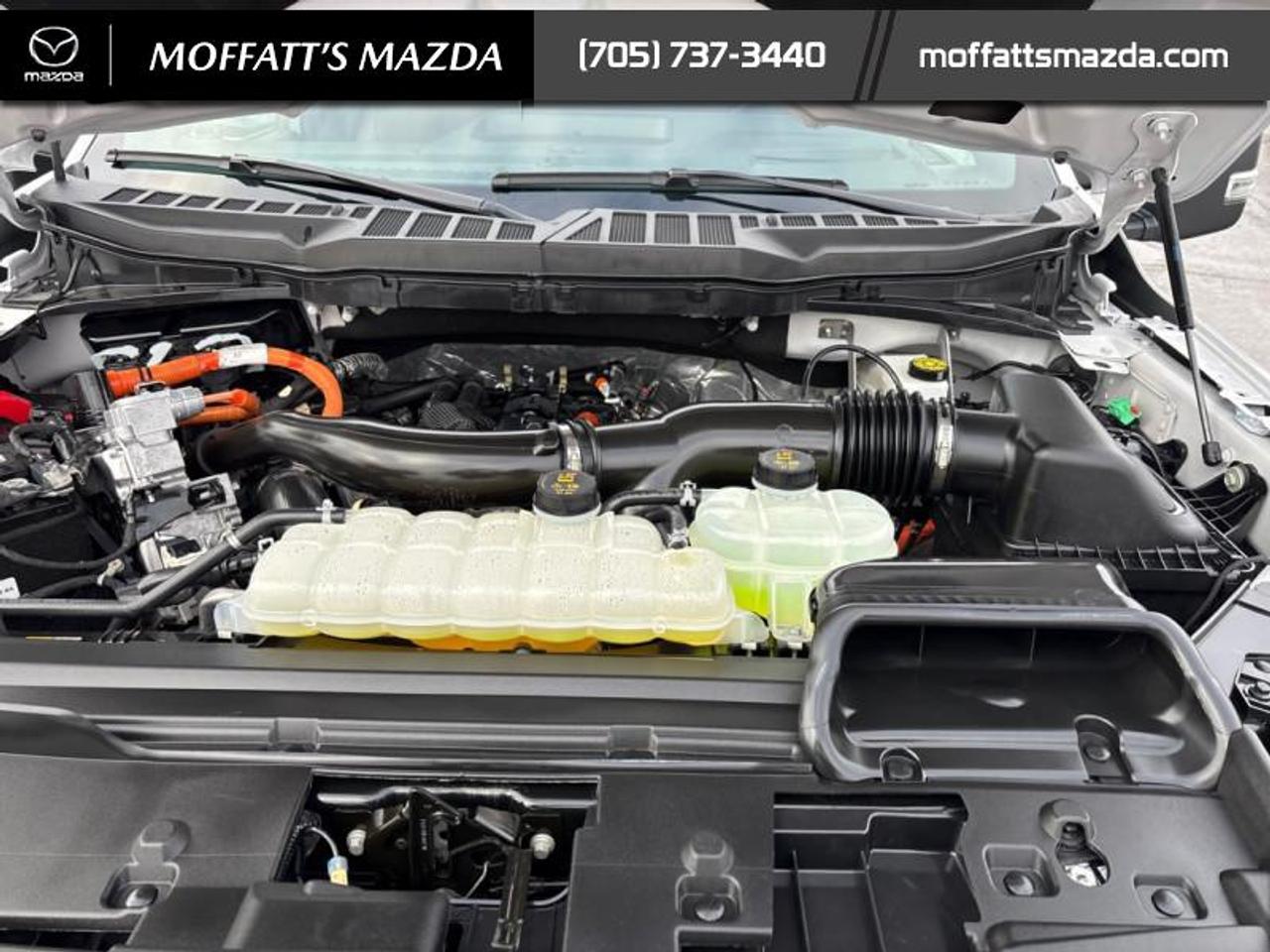 2025 Ford F-150 Lariat Photo