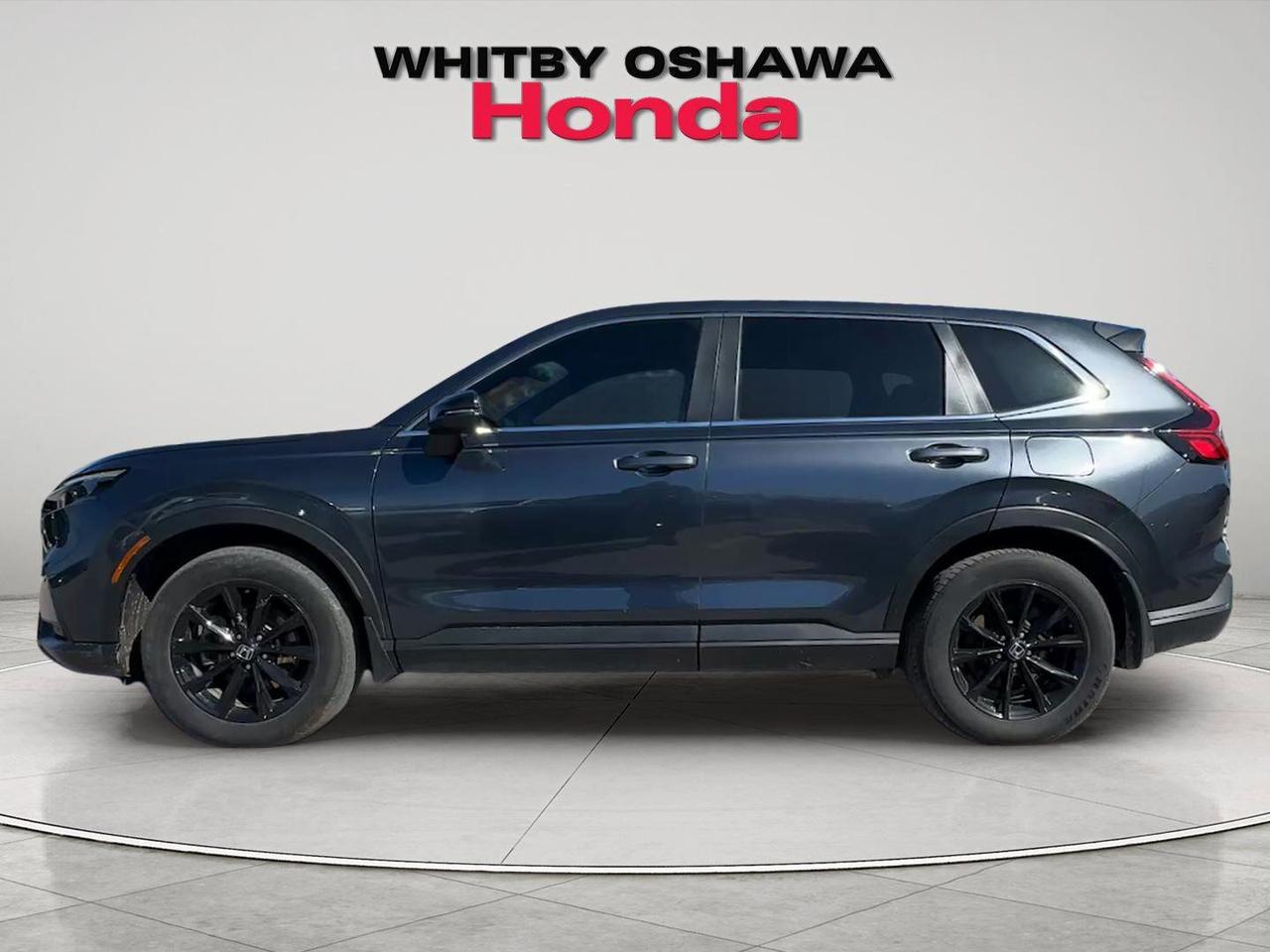2024 Honda CR-V Hybrid EX-L AWD Photo