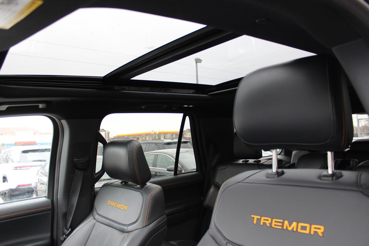 2025 Ford Expedition TREMOR 4X4 Photo