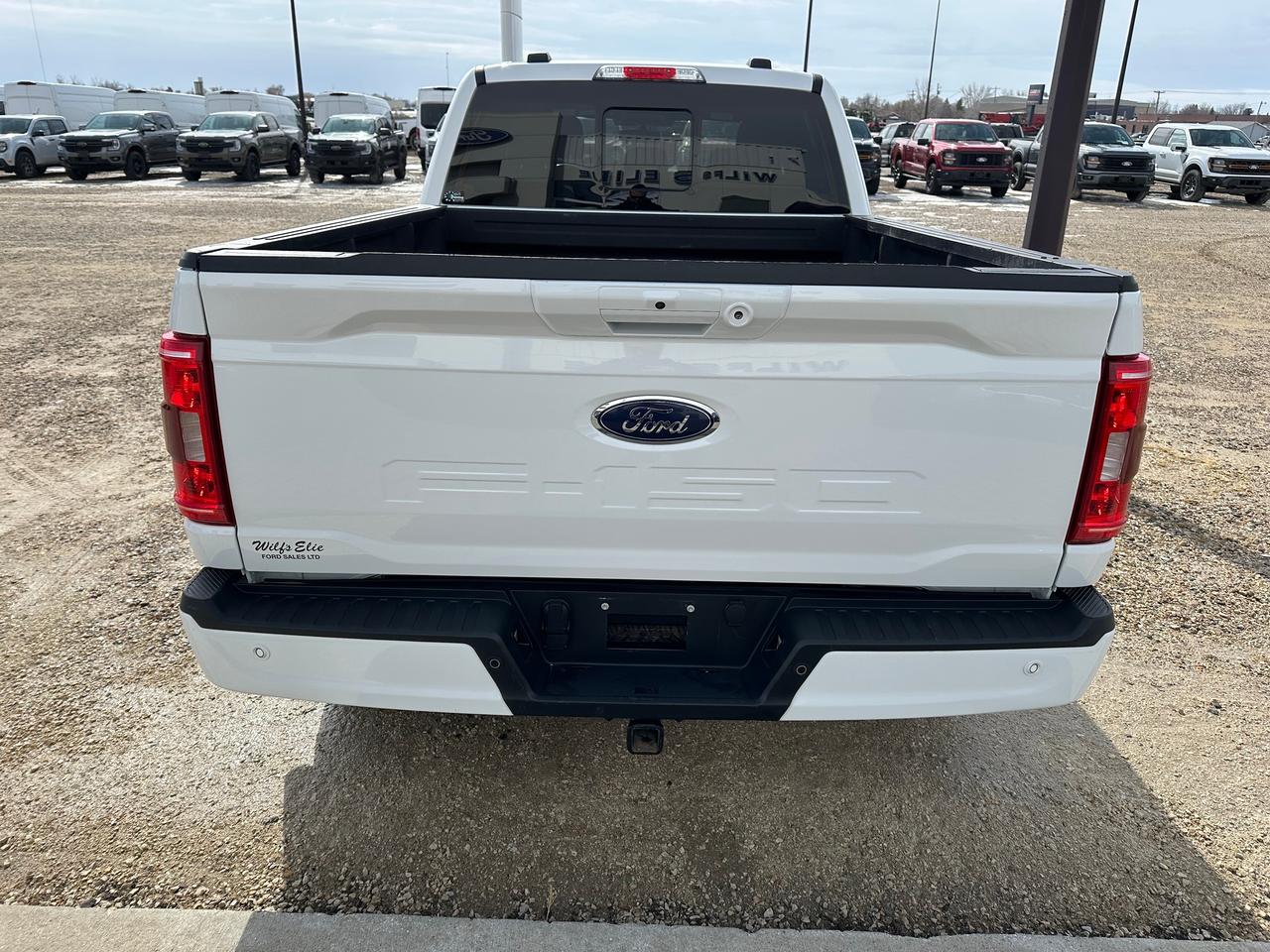 2023 Ford F-150 XLT Photo5