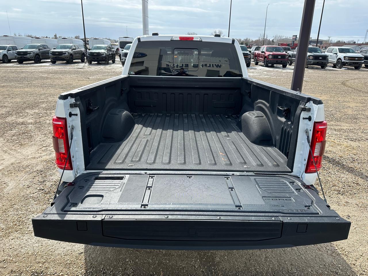 2023 Ford F-150 XLT Photo5