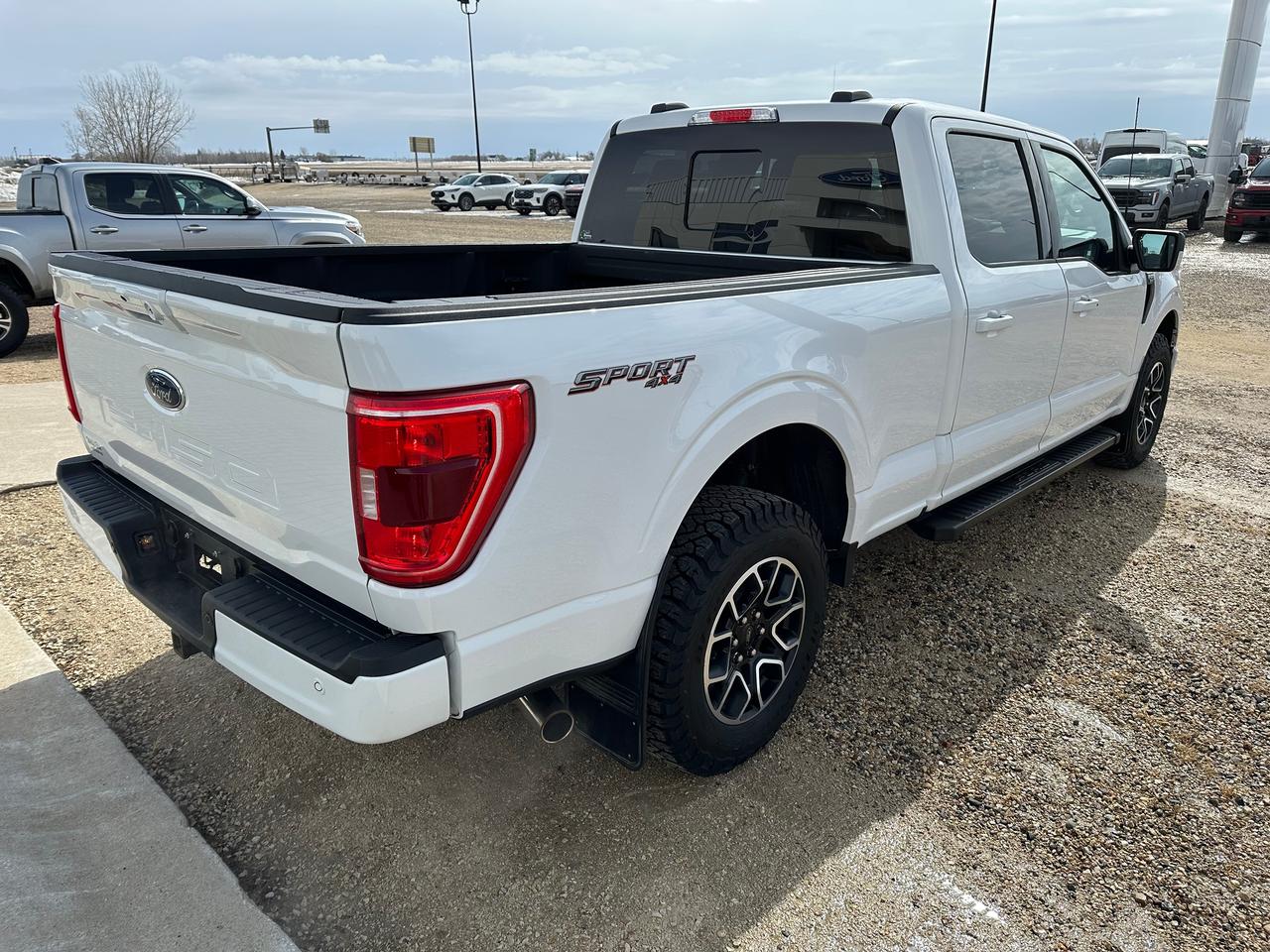 2023 Ford F-150 XLT Photo4