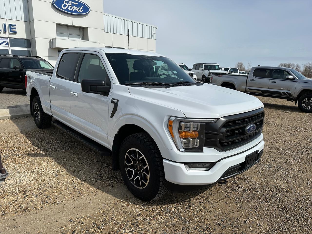2023 Ford F-150 XLT Photo
