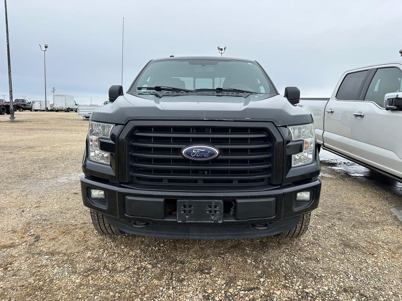 2015 Ford F-150 XLT Photo5