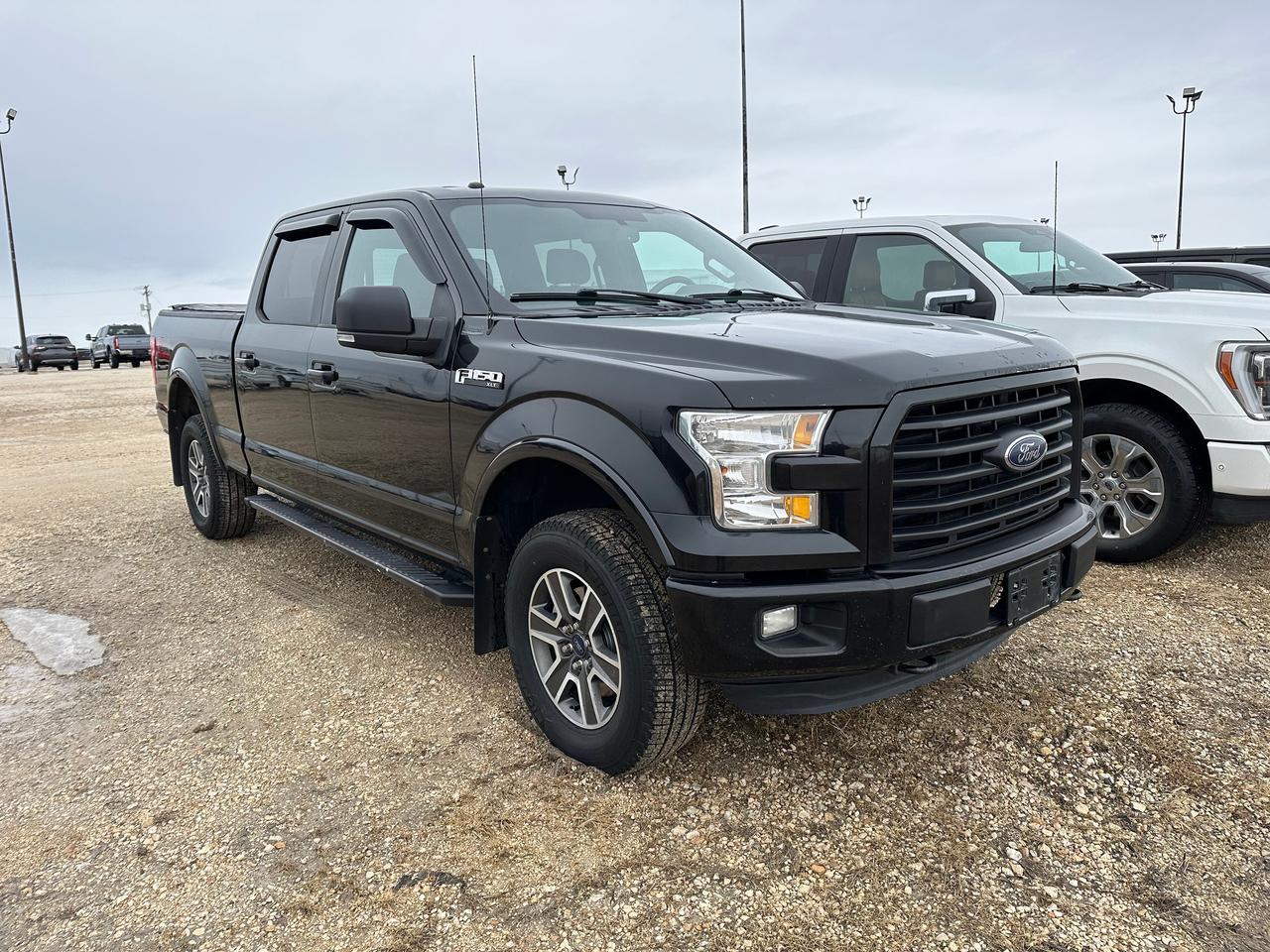 2015 Ford F-150 XLT Photo5