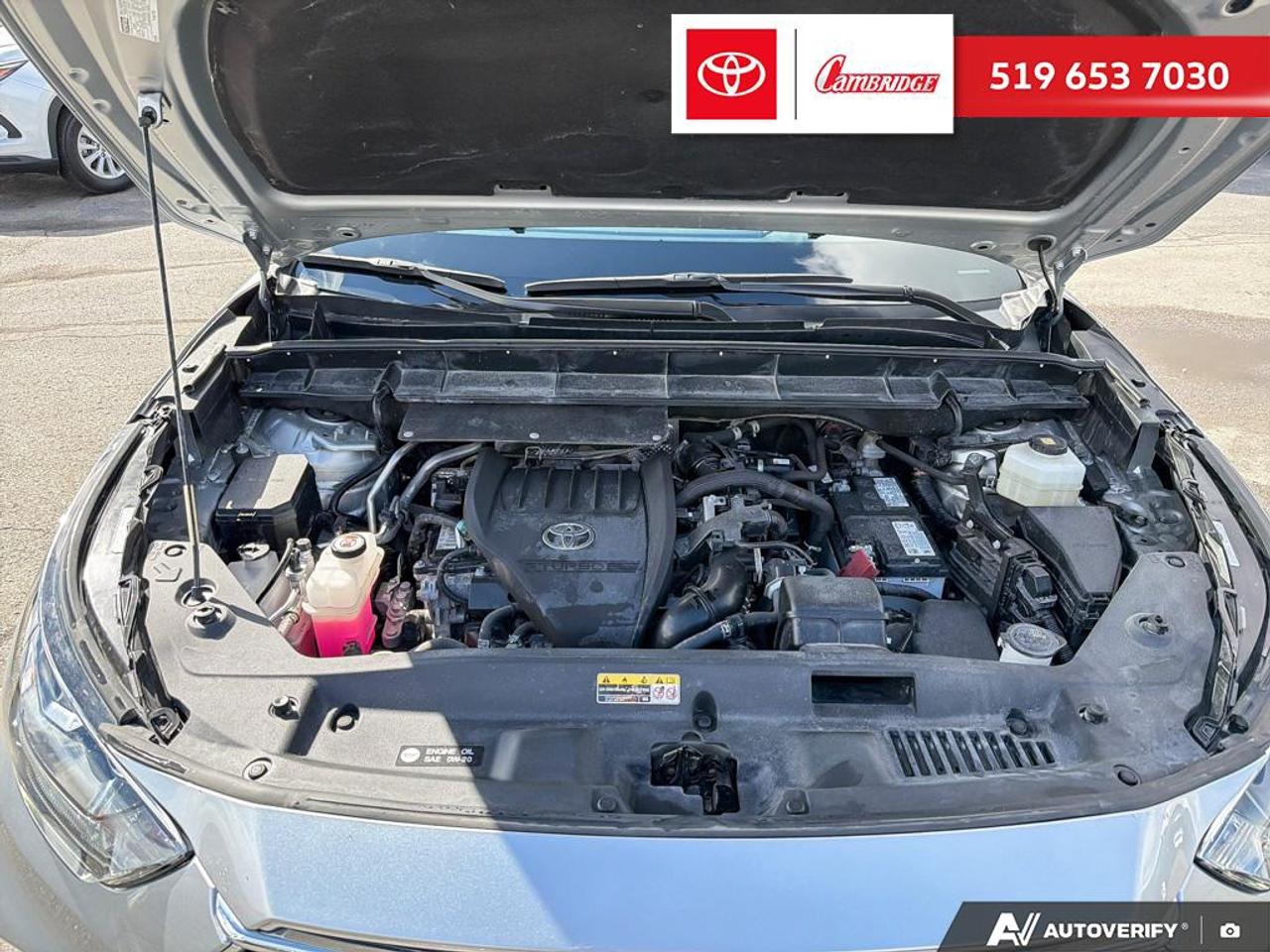 2024 Toyota Highlander LIMITED  Photo