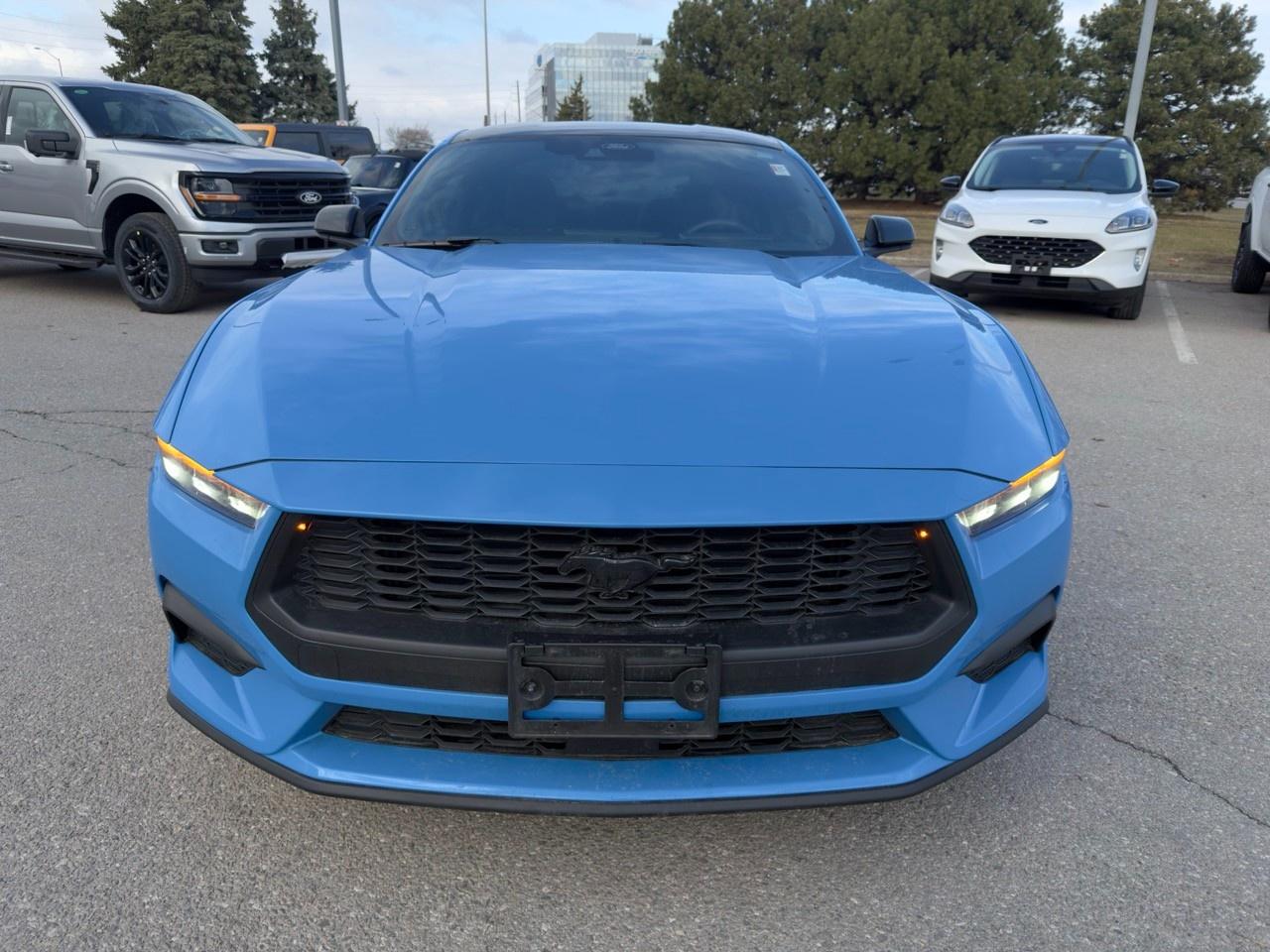 2024 Ford Mustang EcoBoost 101A|NITE PONY PK|AUTO Photo