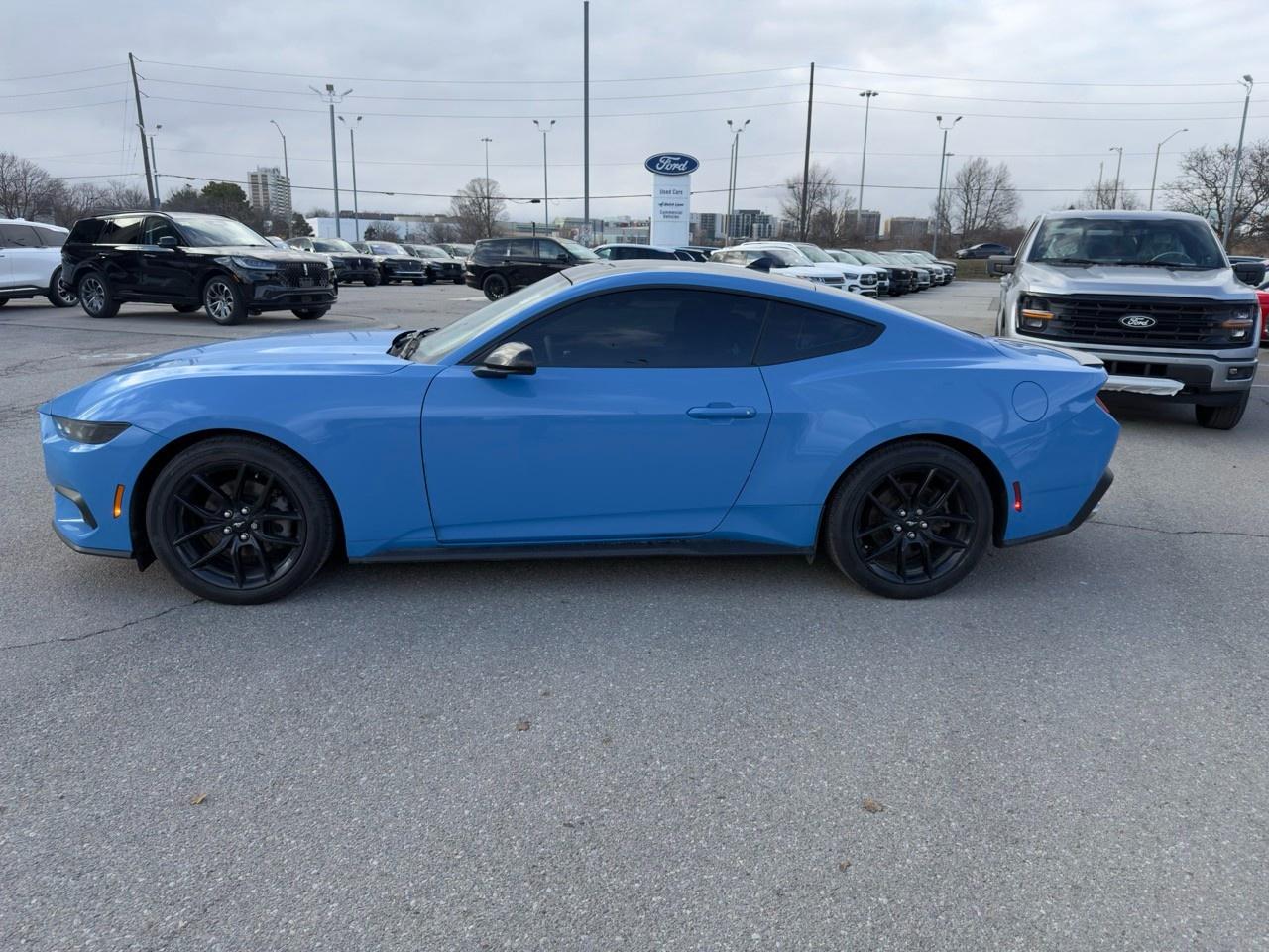 2024 Ford Mustang EcoBoost 101A|NITE PONY PK|AUTO Photo