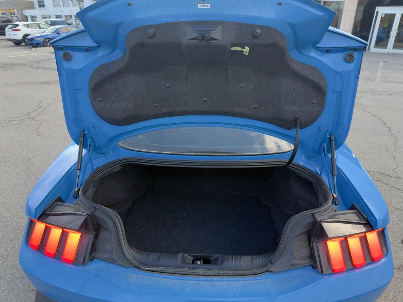 2024 Ford Mustang EcoBoost 101A|NITE PONY PK|AUTO Photo