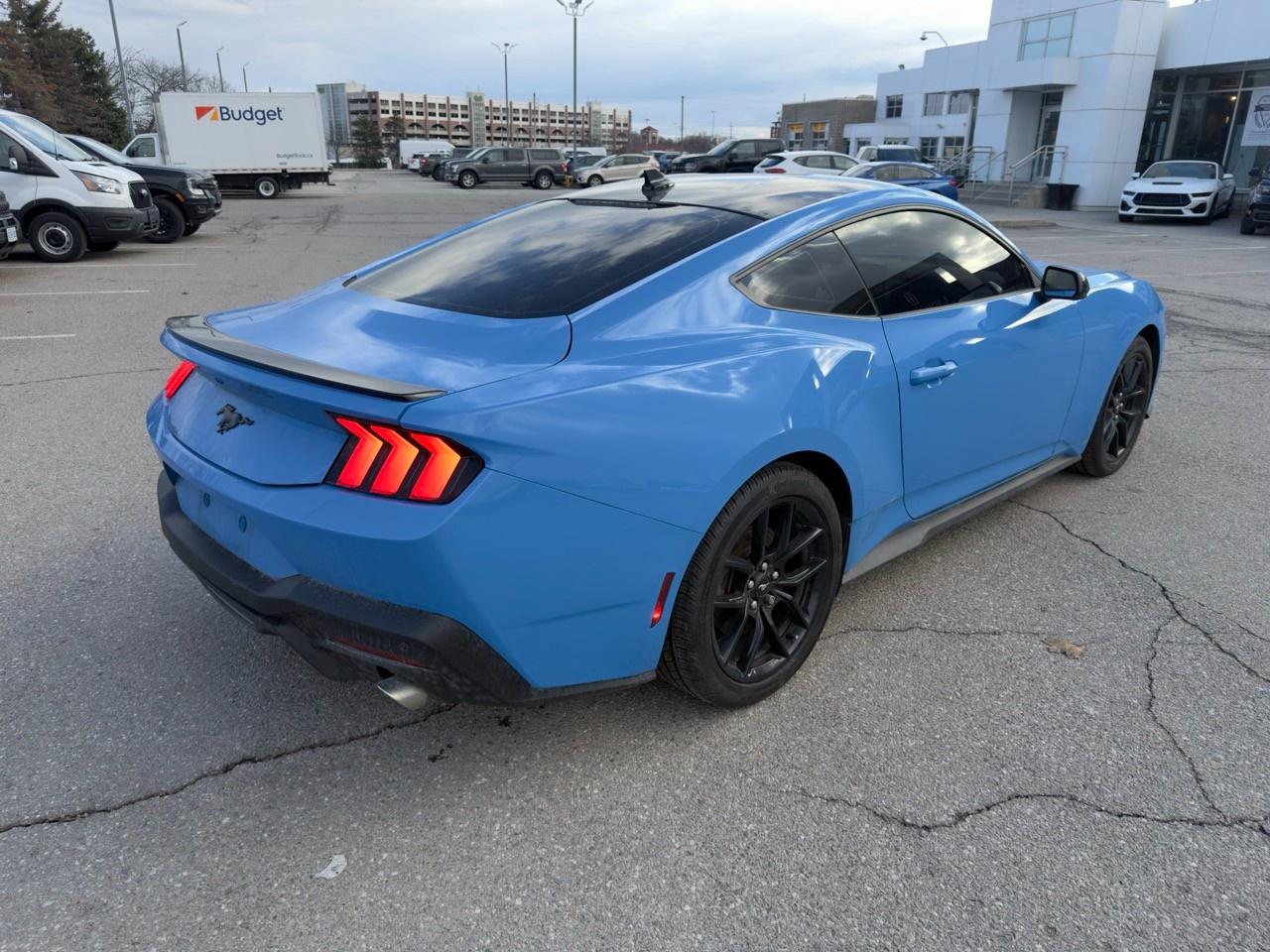 2024 Ford Mustang EcoBoost 101A|NITE PONY PK|AUTO Photo