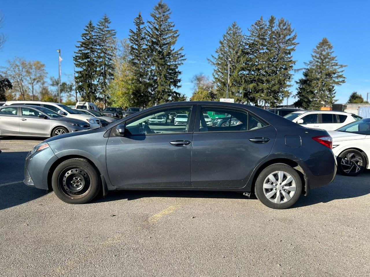 2016 Toyota Corolla LE Photo