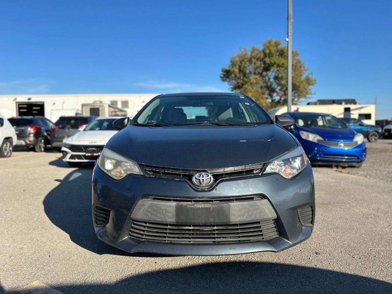 2016 Toyota Corolla LE Photo