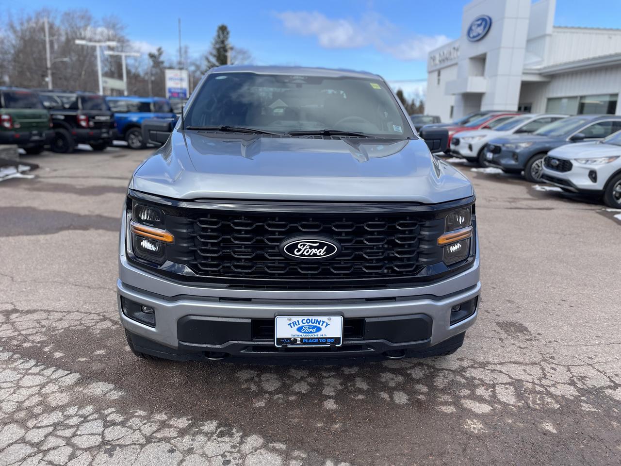 2026 Ford F-150 STX Photo1