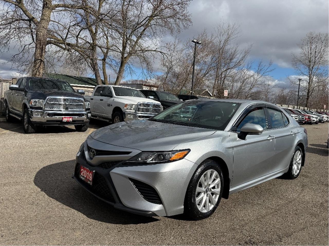 2019 Toyota Camry SE Photo