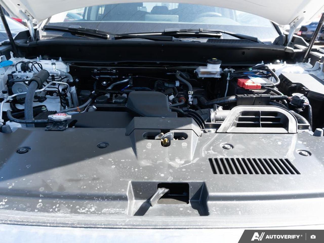 2025 Honda CR-V  Photo