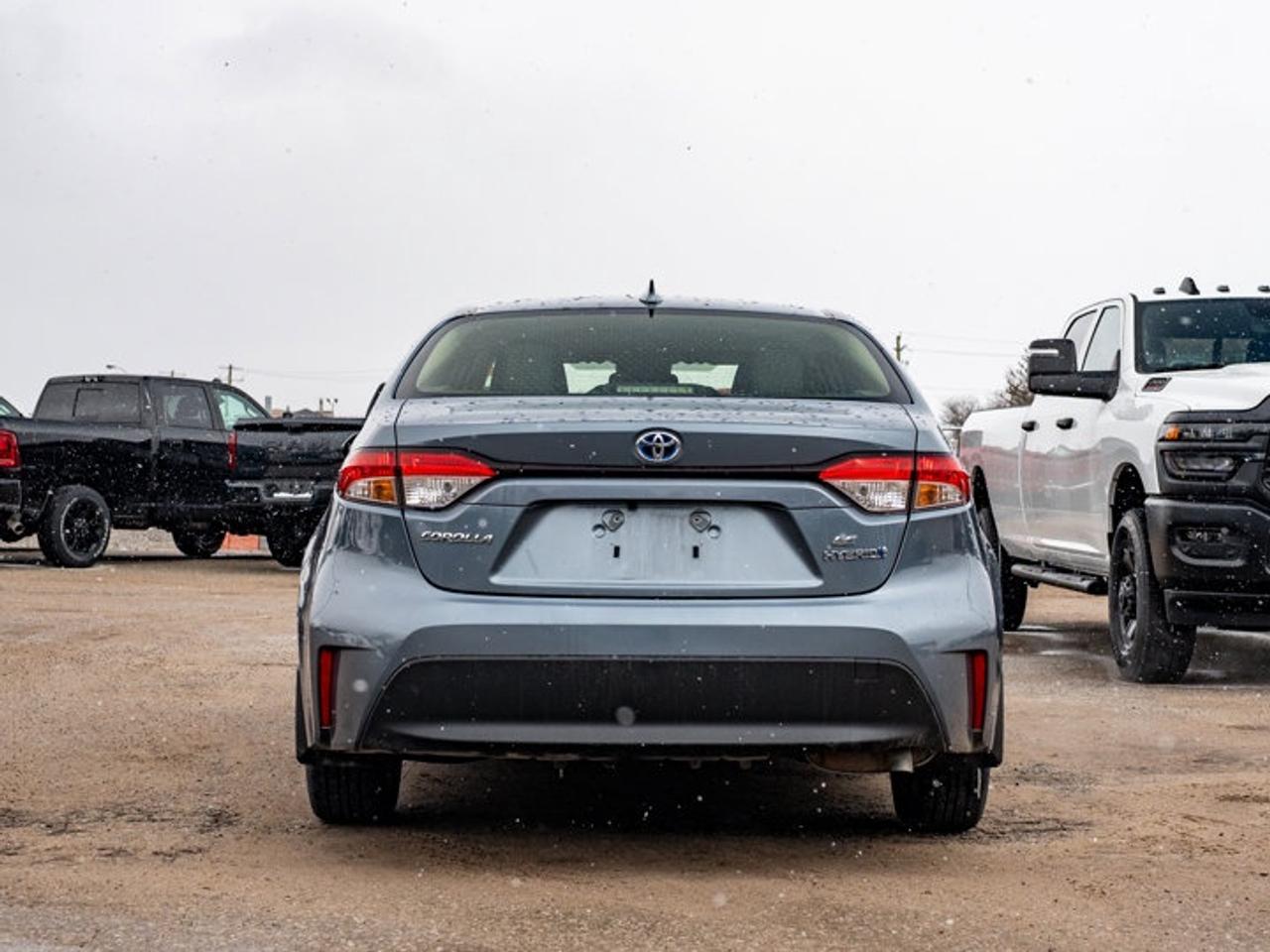 2023 Toyota Corolla Hybrid LE Photo