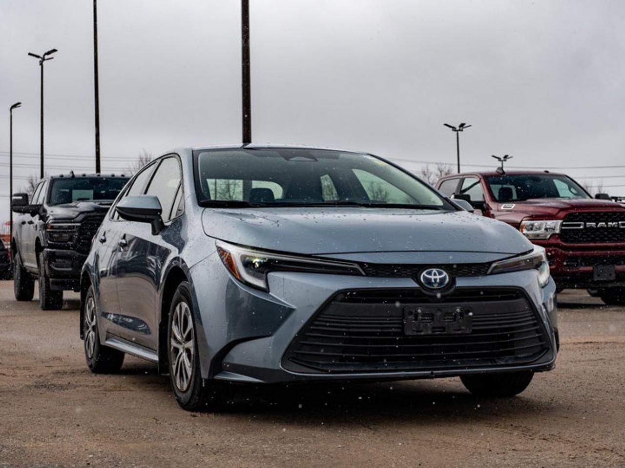 2023 Toyota Corolla Hybrid LE Photo