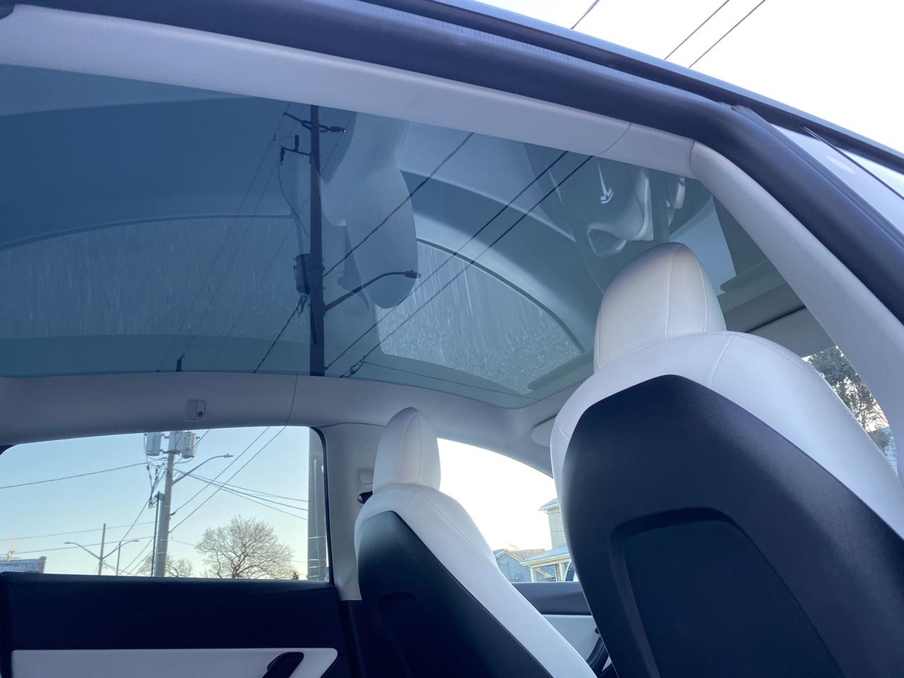 2022 Tesla Model Y PERFORMANCE Photo