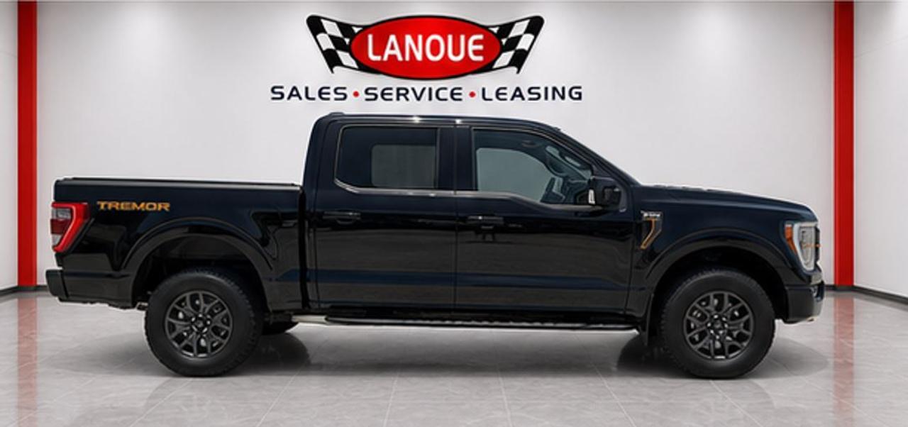 2022 Ford F-150 Tremor Photo