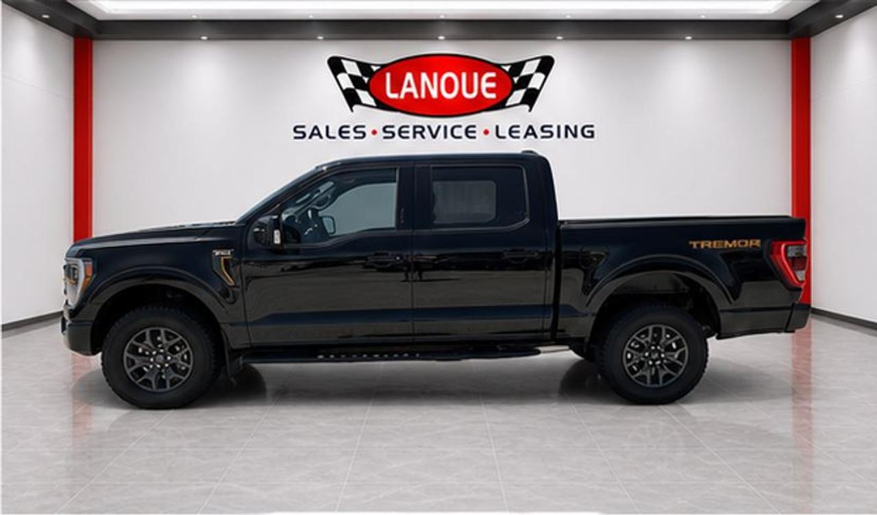 2022 Ford F-150 Tremor Photo
