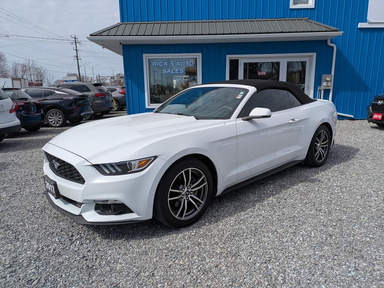 2017 Ford Mustang 2DR CONV ECOBOOST PREMIUM Photo0