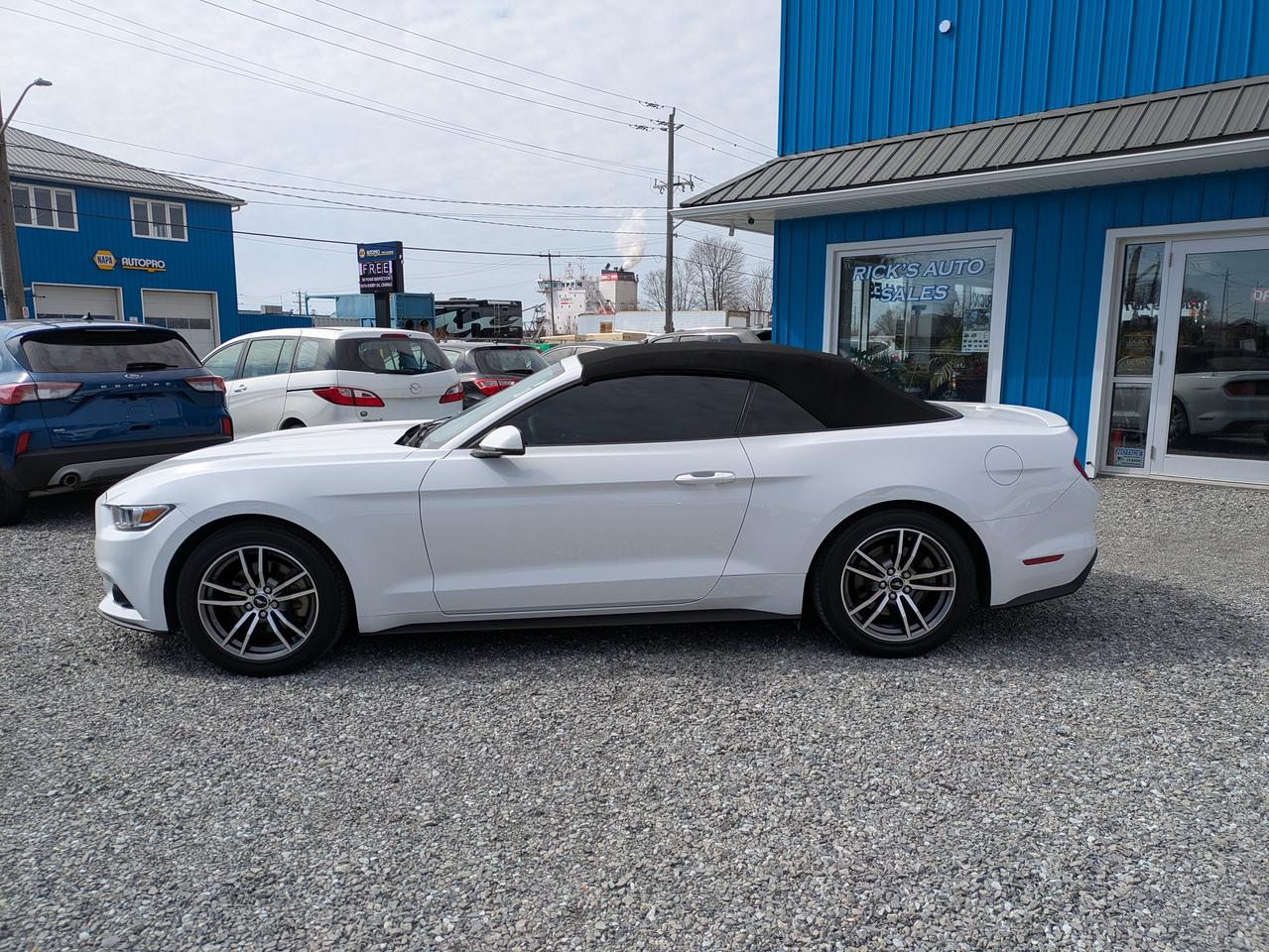 2017 Ford Mustang 2DR CONV ECOBOOST PREMIUM Photo