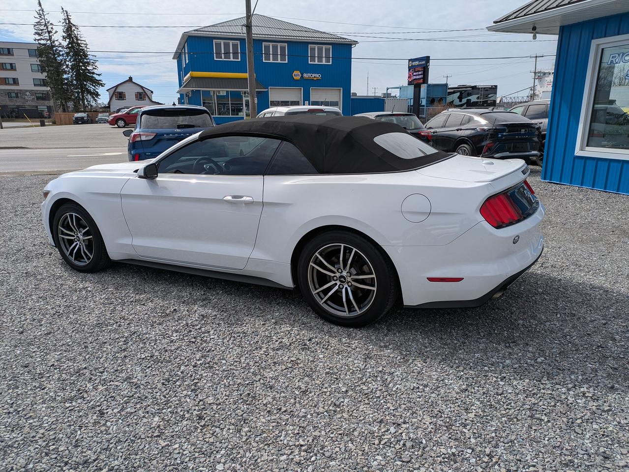 2017 Ford Mustang 2DR CONV ECOBOOST PREMIUM Photo