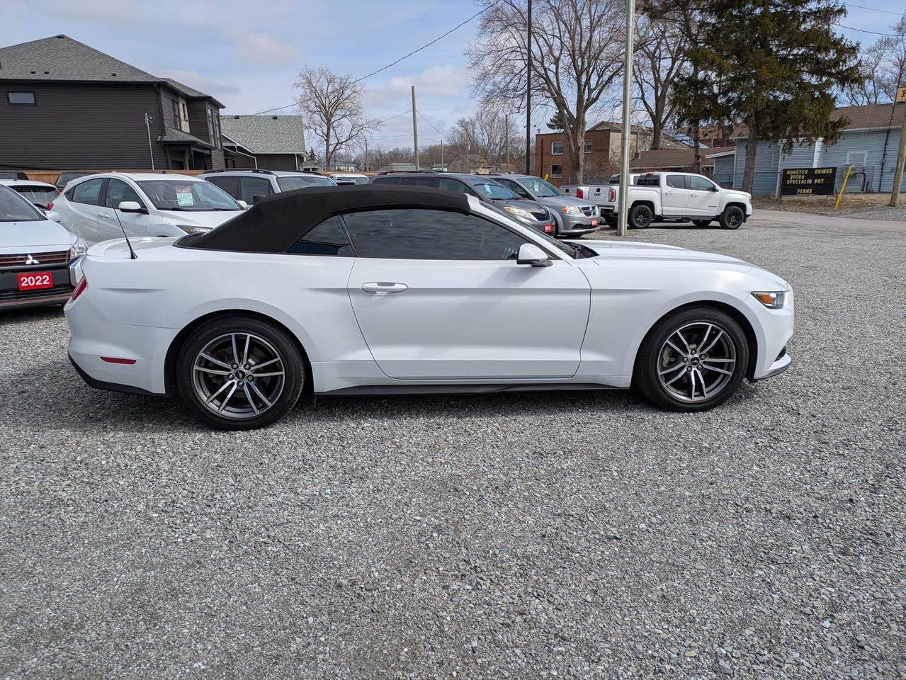 2017 Ford Mustang 2DR CONV ECOBOOST PREMIUM Photo