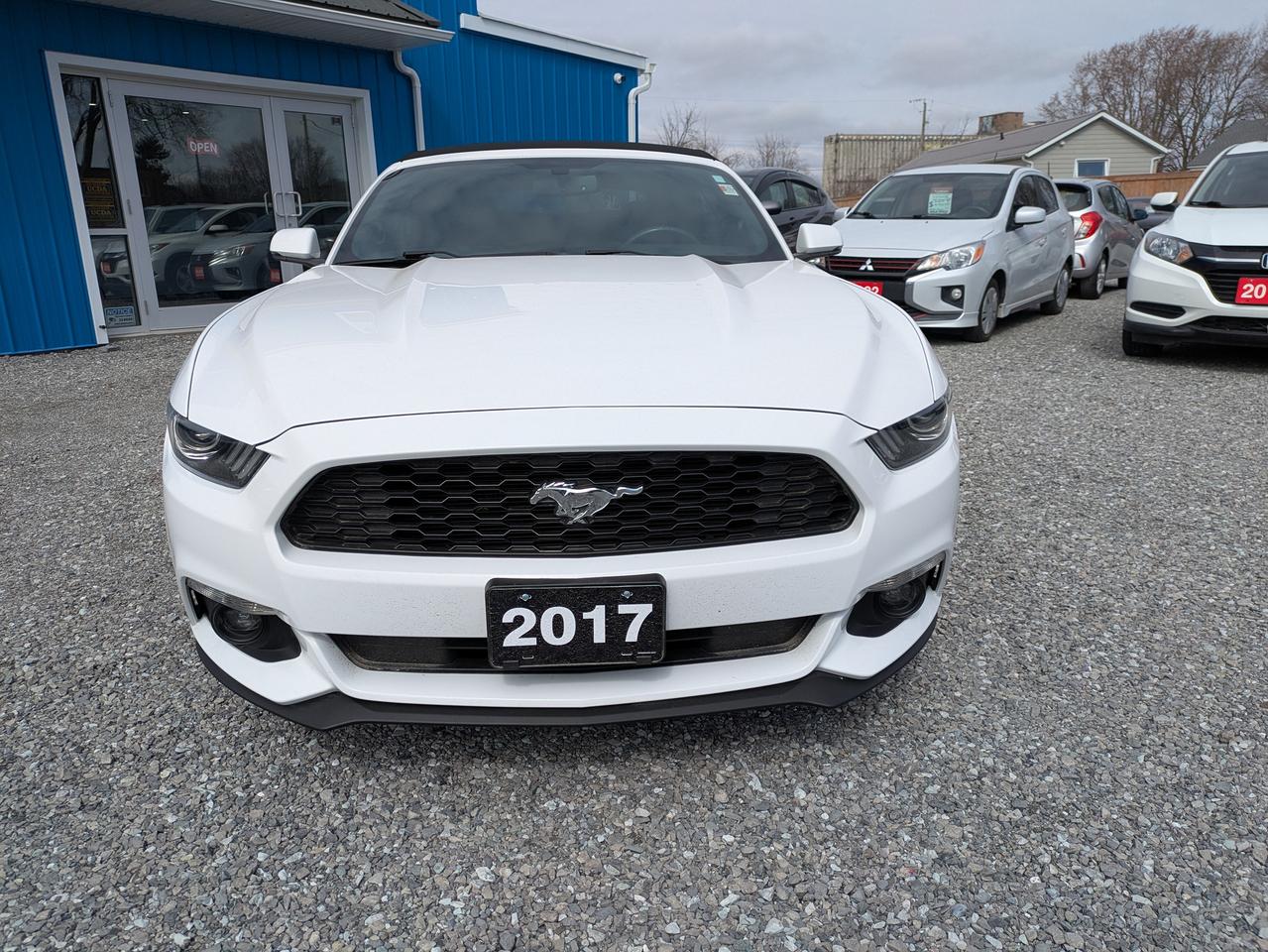 2017 Ford Mustang 2DR CONV ECOBOOST PREMIUM Photo